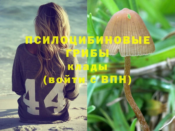 трава Абдулино