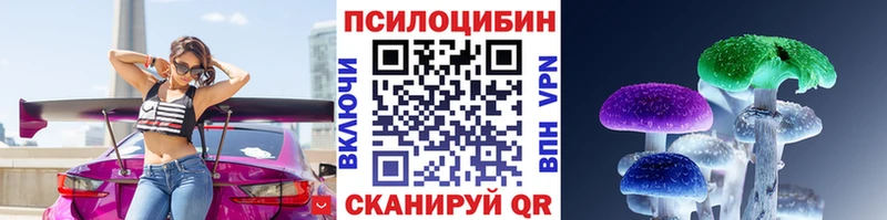 Псилоцибиновые грибы Cubensis Тайга